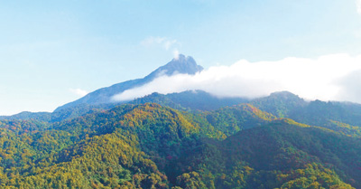 海南开展热带雨林国家公园体制试点区生态系统生产总值核算 更好保护好山好水好风光