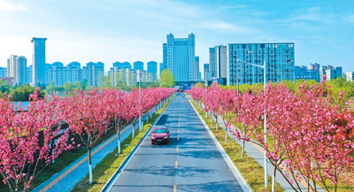 江苏省泗洪县不断加强城市建设 打造美丽宜居环境