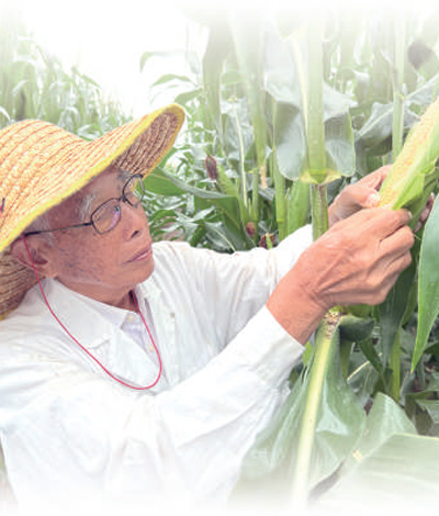 86岁玉米育种专家程相文——一天也离不开玉米