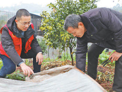 阳庚华（左）与周承武一起查看百香果苗培育情况。杨族玺摄