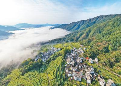 婺源县乡村图片:生态旅游绿色发展