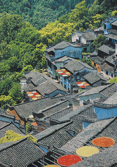 外国友人镜头里的美丽中国——绿水青山 人与自然和谐共生