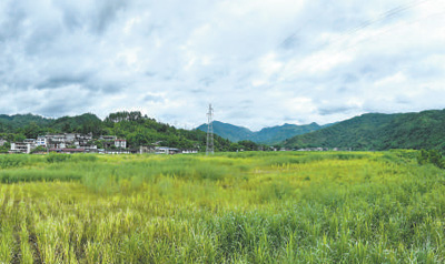 为心灵带来勇气和力量（艺海观澜）