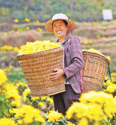 让但愿的郊野不竭迸产生机活力（人平易近政协新实践）