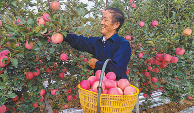 走上国际餐桌，特点农产物喷鼻飘海外