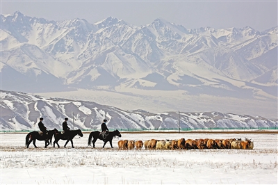 新疆民警守护牧民安全转场——牧道之上鱼水情深