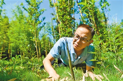 贵州农博园科普讲解员王需昌——一棵植物 一个故事