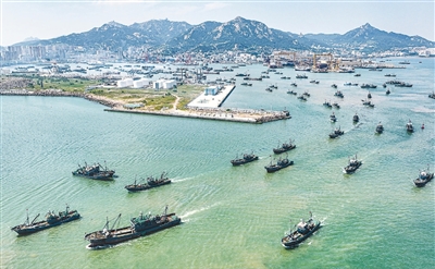 渔港荣成市图片:伏季休渔结束渔民出海捕捞