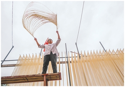 {jz:field.toptypename/}