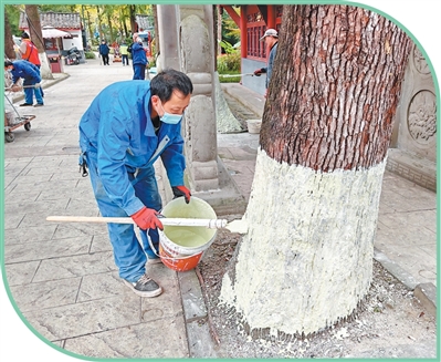 
天津儿童医院翟嘉李东黄牛挂号电话今天，我们这样参与义务植树