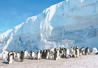 南极旅游加剧环境风险