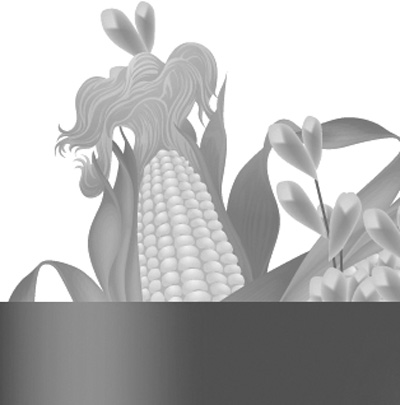 可再生能源家族:太阳能 风能 生物质能 潮汐能_