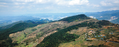 四川探索林业生态产业化保护