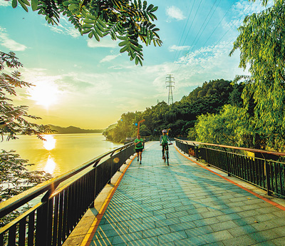 逢树绕路，遇水搭桥，遍布城乡——杭州　绿道串起幸福时光