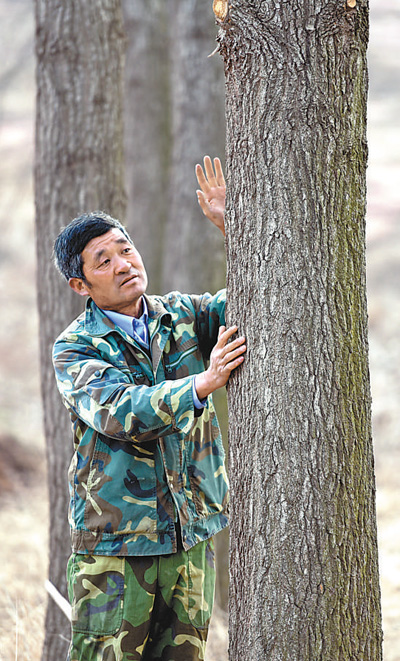 老党员刘吉传十多年坚持植树造林——把荒山变绿（守望）