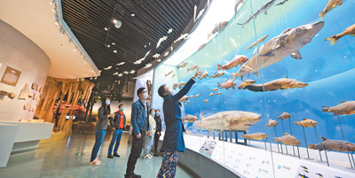 重庆自然博物馆恢复开放
