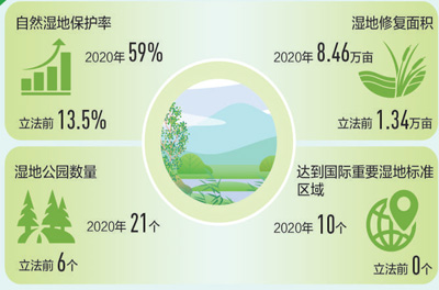 湿地保护率 八年增四倍