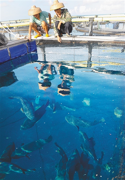 渔民养殖热带鱼