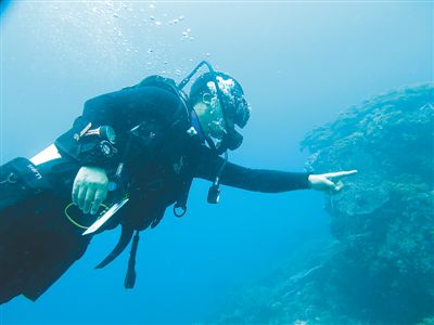 水下育林员陈宏研究珊瑚三十年海底种出一片“林”