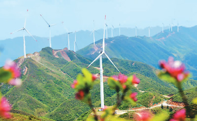中国风电产业走向世界市场（专家解读）