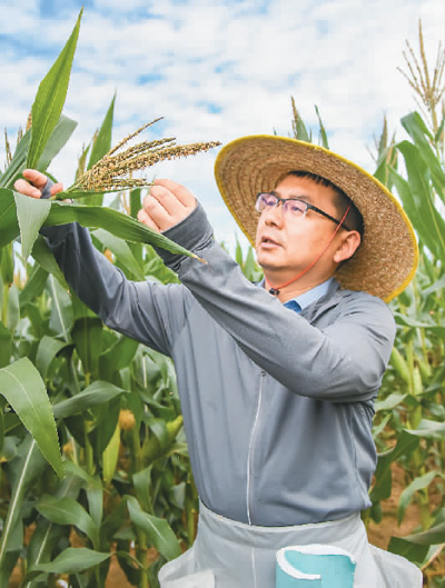 推动玉米种质创新 保障国家粮食安全