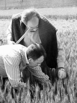 西班牙专家感慨:一粒种子可以改变世界