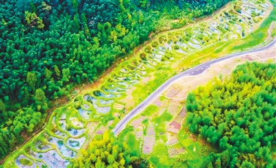 “国际湿地城市”成为优质生态名片