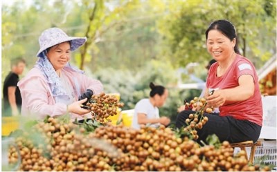 广西农业品牌带动“桂品出乡”