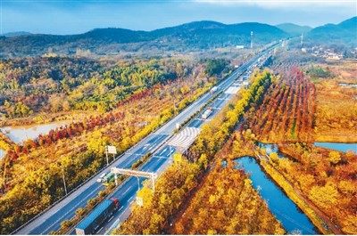 溧水高速公路图片:宁杭高速公路