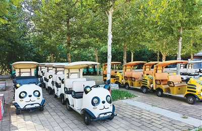复旦大学附属妇产医院胡蓉医生黄牛预约代挂号电话 景区电瓶车,莫让租车变“租气”