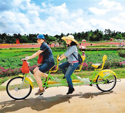 游客在龙寿洋国家农业公园骑行