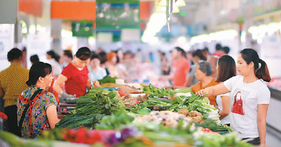 中国每年蔬菜集约育苗2000亿株从根本上支撑全国蔬菜稳定优质供