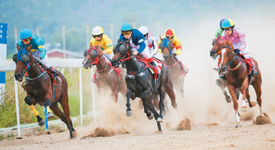 赛马内蒙古图片:扬鞭赛马