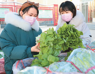 镇街蔬菜便民供应服务站的暖心蔬菜