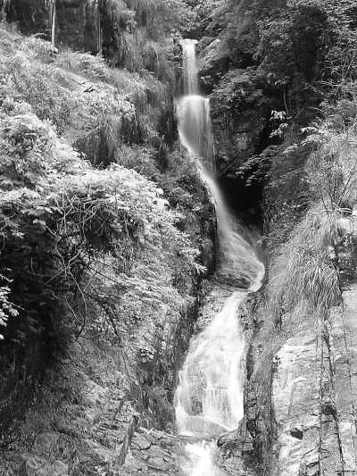 青田,因产青芝,别名芝田.又山后多鹤,号称鹤城.