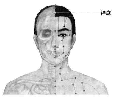 神庭穴-提高学习效率的聪明穴--人民网健康卫生