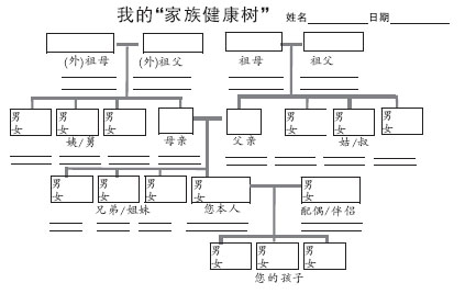 主题:为家人种棵"健康树"