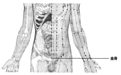 曲骨穴——解除前列腺炎的尴尬(按穴养生)